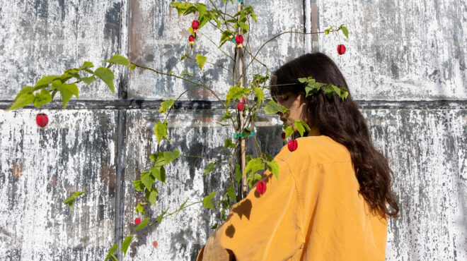 το-φυτό-που-θα-φέρει-την-άνοιξη-στο-μπαλ-562770391