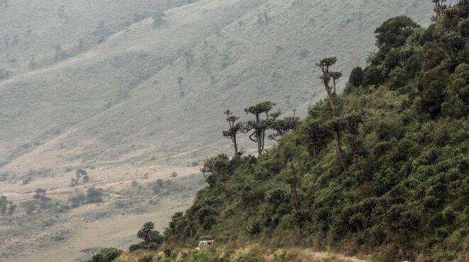 τα-σχέδια-των-ηπα-για-τις-εκπομπές-διοξ-562769014