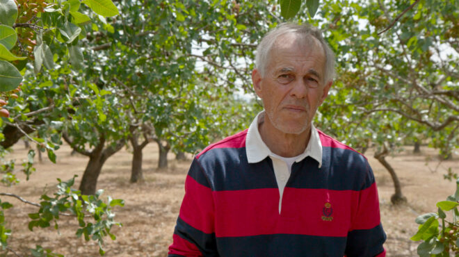 οι-ελευσίνιοι-συστήνονται-562783543