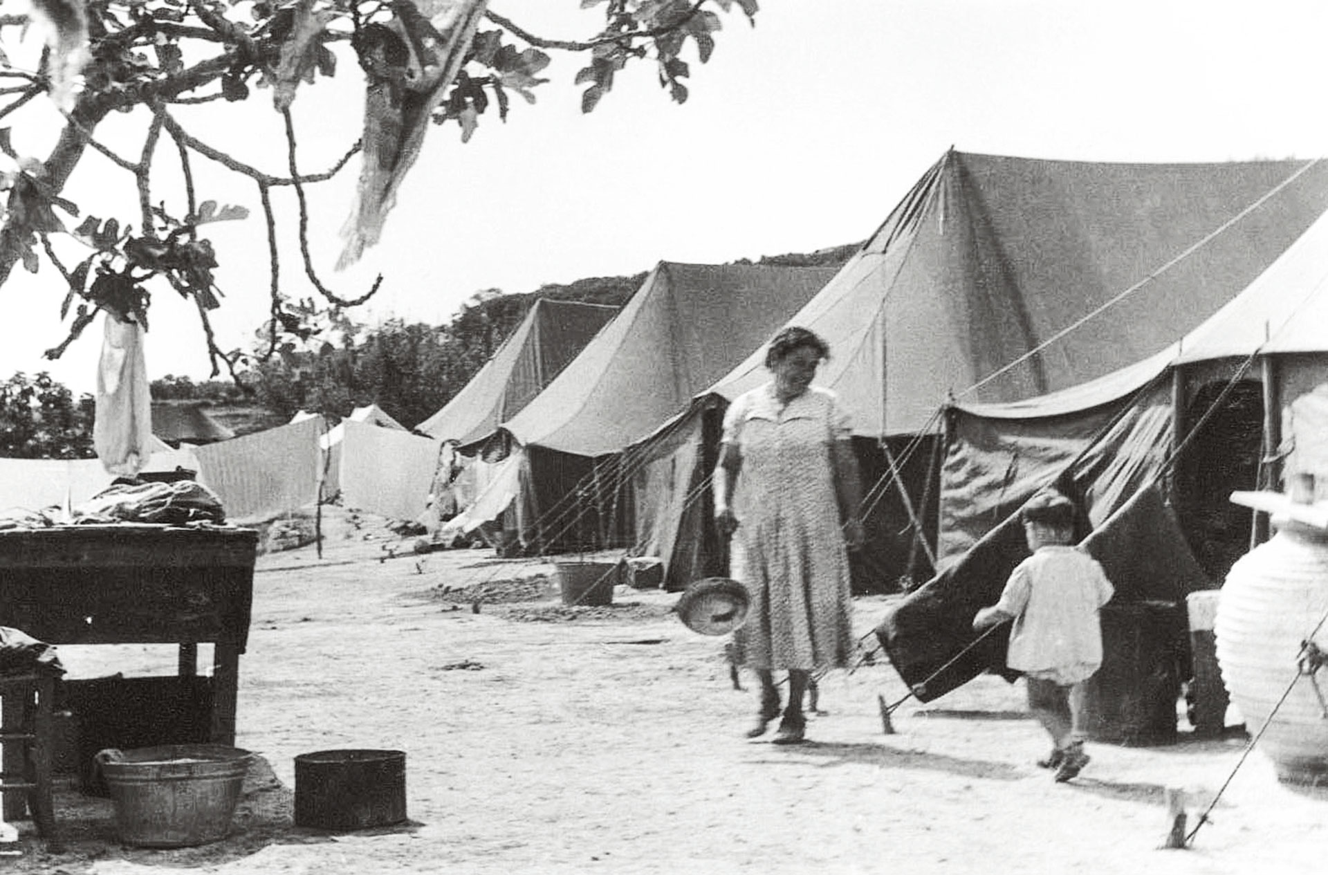 Ελένη Βλάχου – όλεθρος ασυλλήπτου εκτάσεως-20