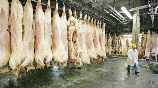 μικροί-πράσινοι-στόχοι-562785181