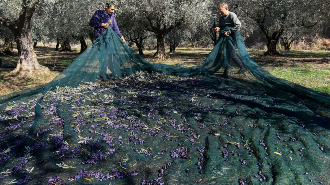 νέες-άδειες-παραμονής-με-ενστάσεις-σα-562787125