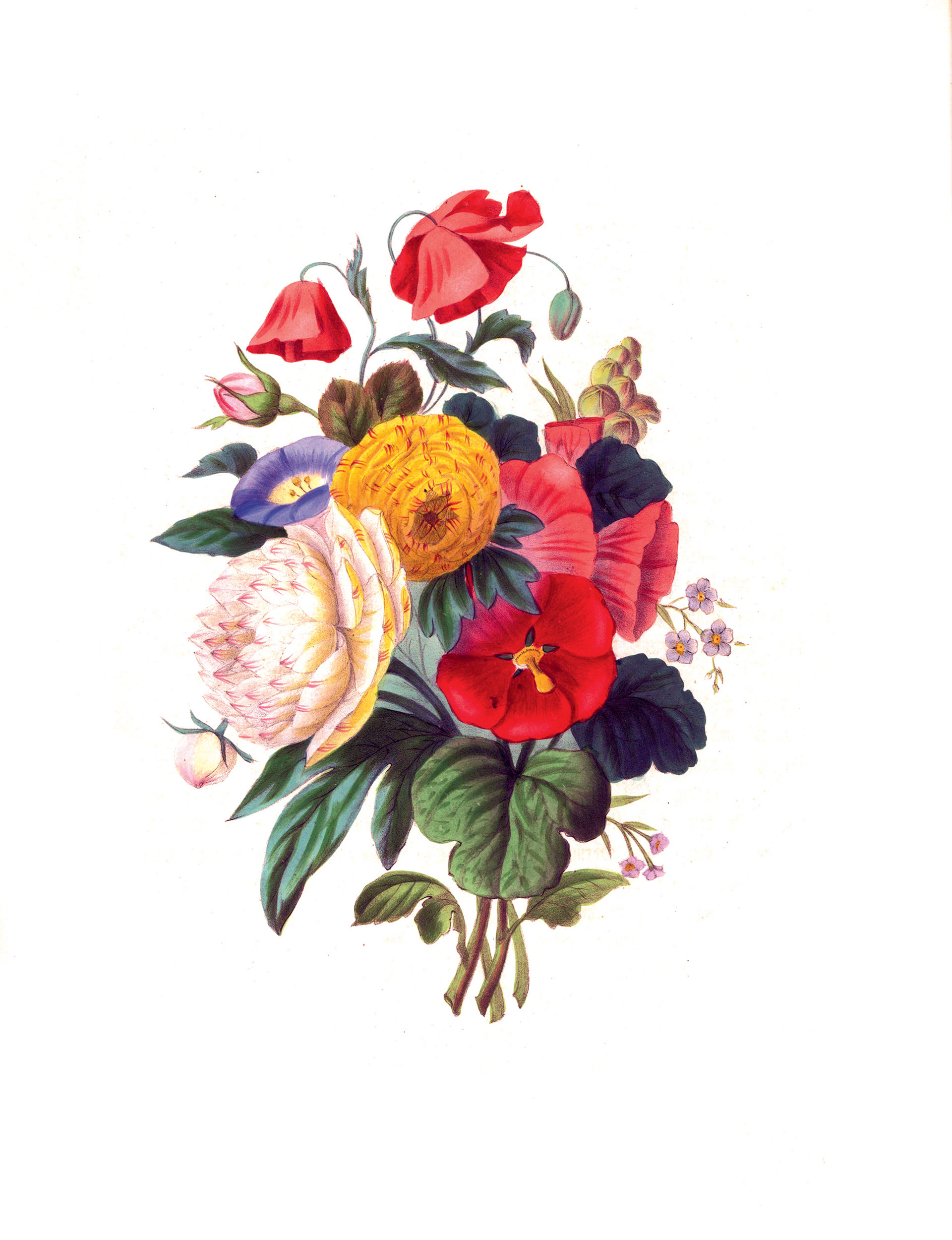 19 πράγματα που κανείς δεν ξέρει για τα δώρα των Χριστουγέννων-19