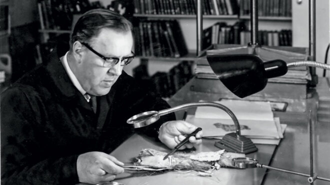 πώς-σώθηκε-το-αρχαιότερο-βιβλίο-στην-ε-562762219