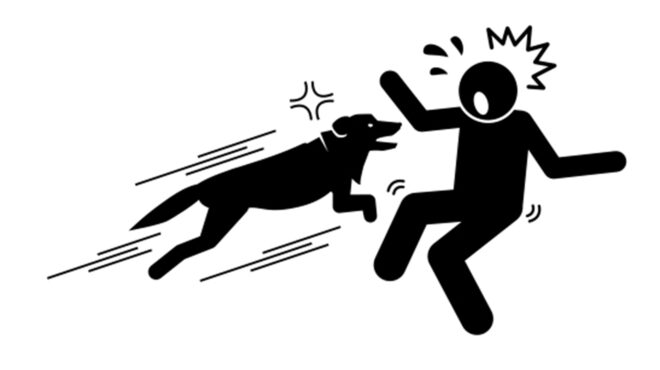 τι-δεν-πρέπει-να-κάνετε-εάν-σας-επιτεθε-562780462