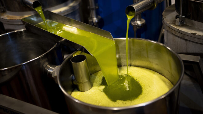 europol-εξαρθρώθηκε-σπείρα-που-διακινούσε-ν-562764148