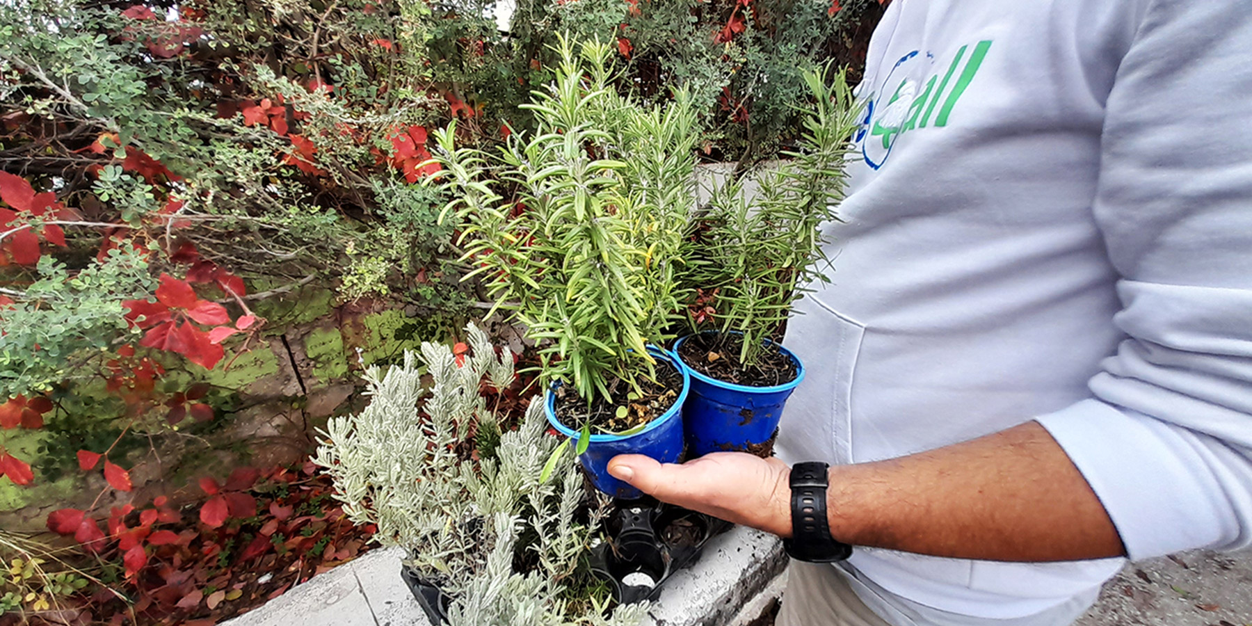 «Green School by Τράπεζα Χανίων»: Ενδυναμώνει την περιβαλλοντική συνείδηση των μαθητών-2