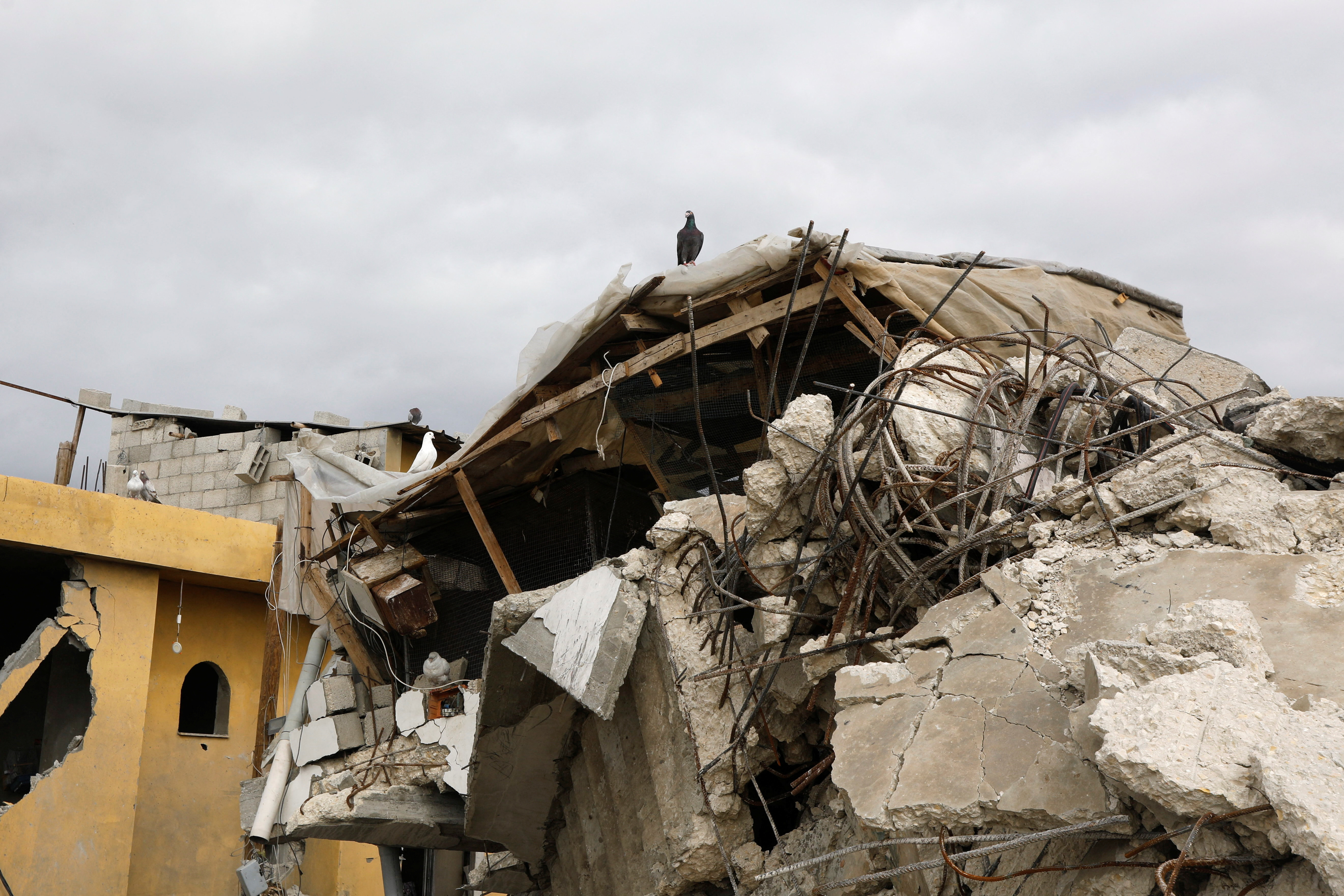 20.000 νεκροί: Τι λένε οι αριθμοί για τον πόλεμο στη Γάζα-1