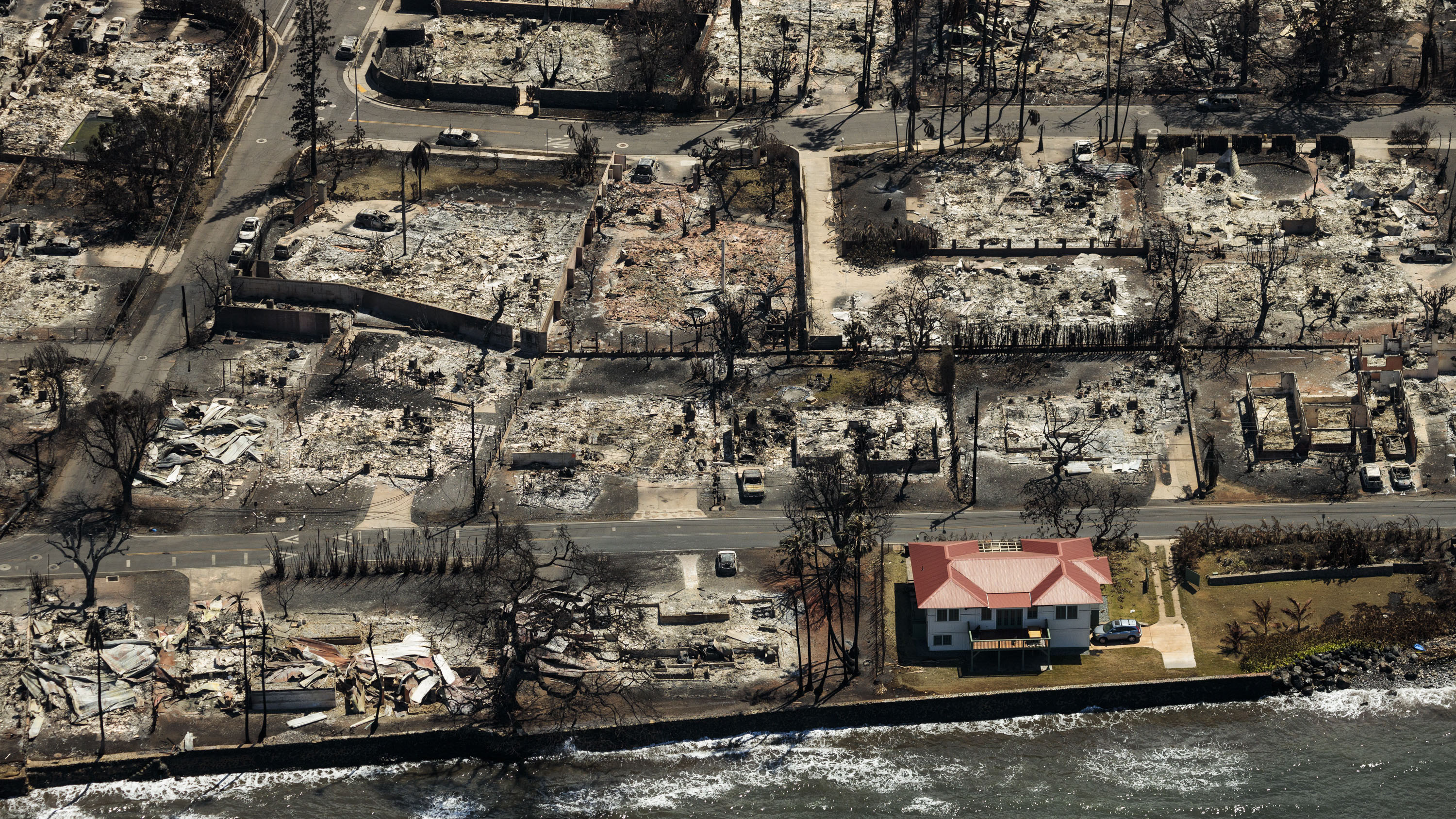 The New York Times: Η ανασκόπηση της χρονιάς μέσα από 28 φωτογραφίες-19