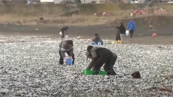 δεν-έχω-ξαναδεί-ποτέ-κάτι-τέτοιο-τ-562782247