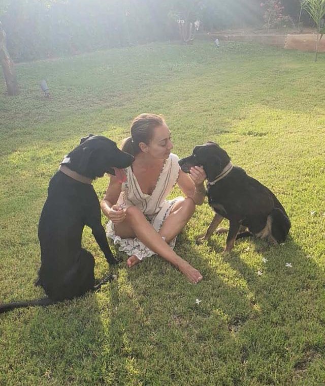 Το 2023 ήταν αδέσποτα, το 2024 θα τα βρει στις αγκαλιές των οικογενειών τους-1