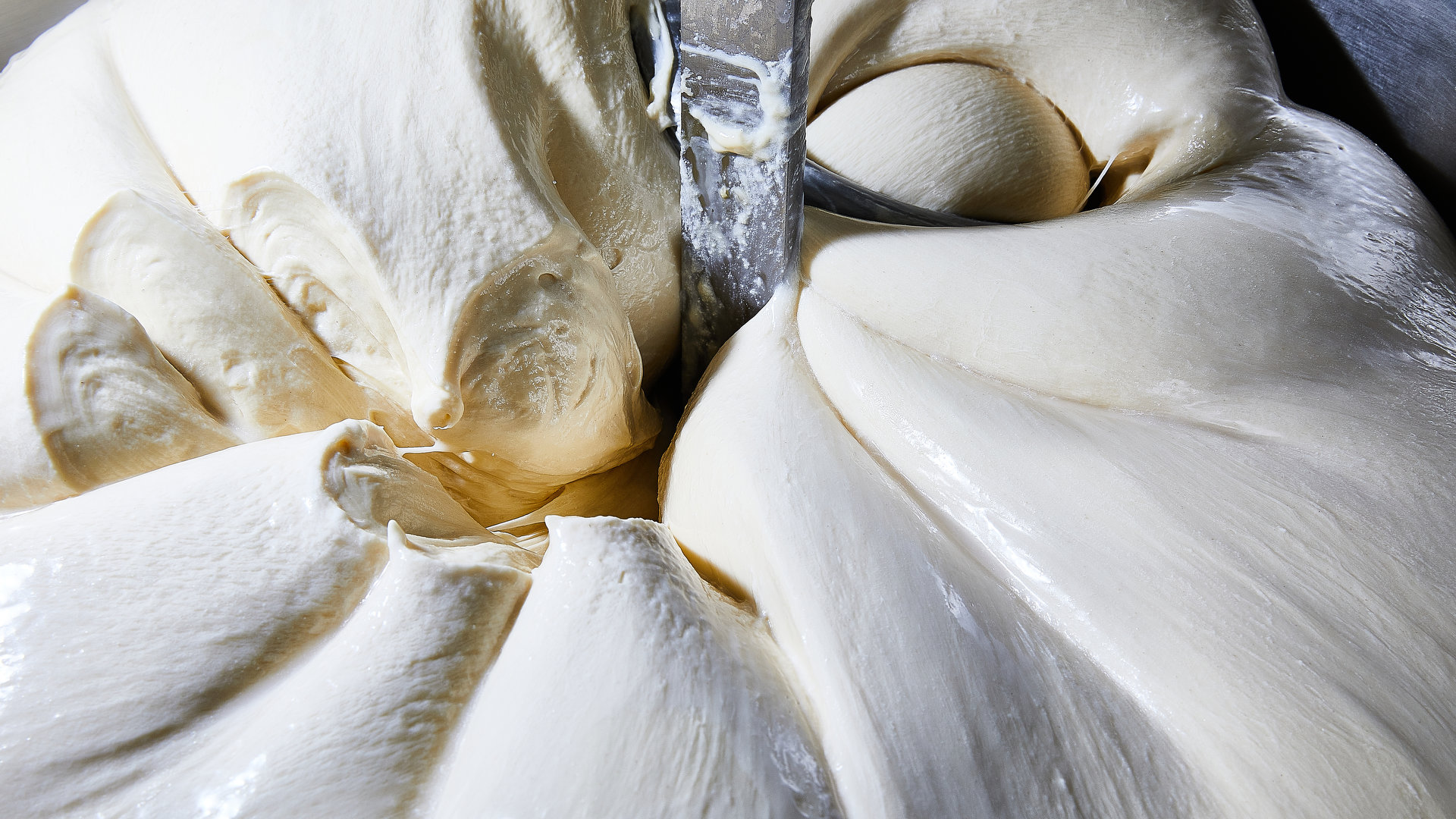 Πανετόνε: Είδαμε, βήμα-βήμα, πώς φτιάχνεται ένα απ’ τα καλύτερα της Αθήνας-1