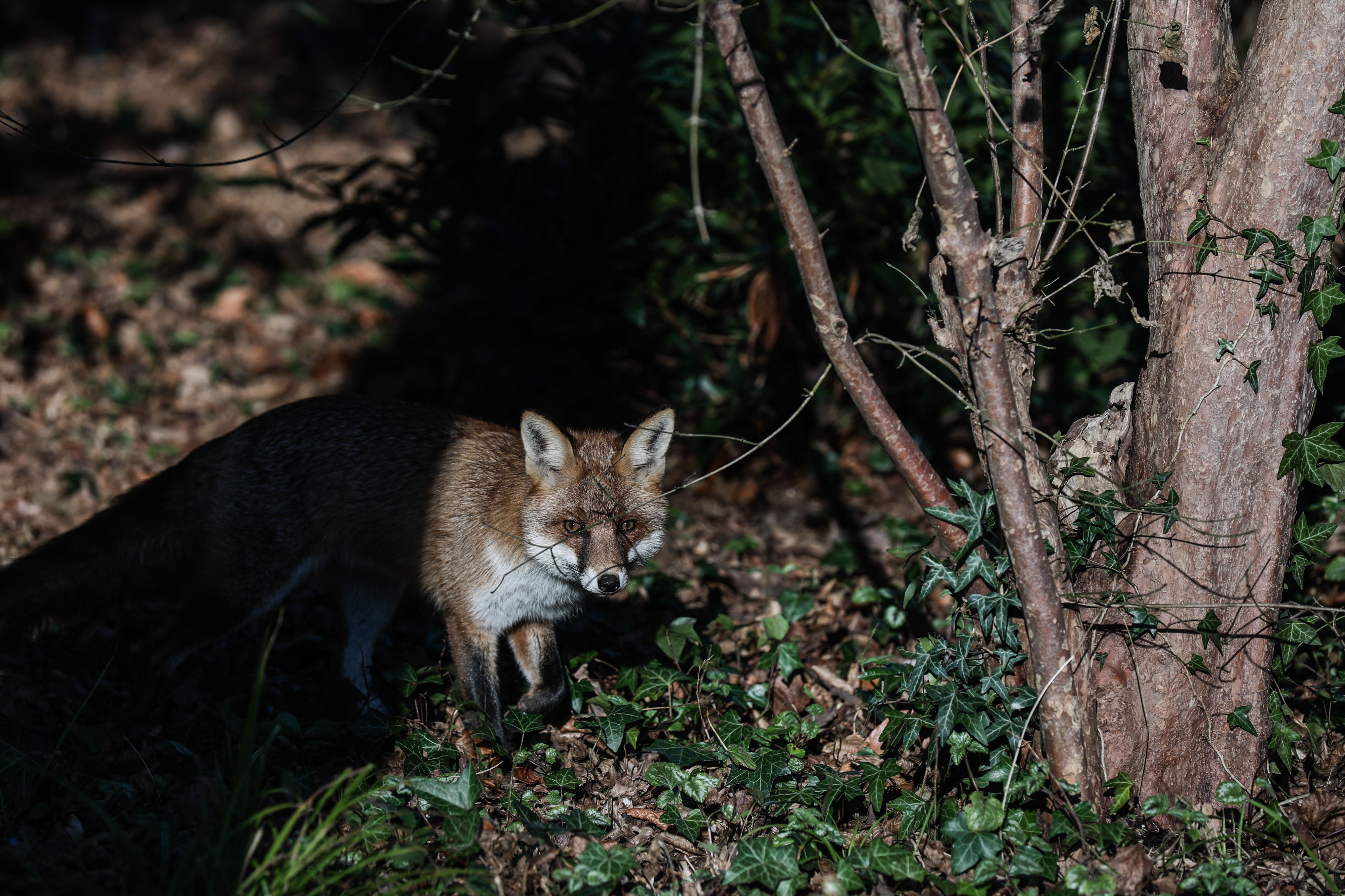 Το 2023 μέσα από τον φακό των φωτογράφων της ΠτΔ και του πρωθυπουργού-26