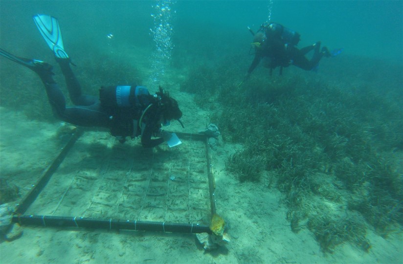 Φυτεύοντας το δάσος της θάλασσας στους Λειψούς-3