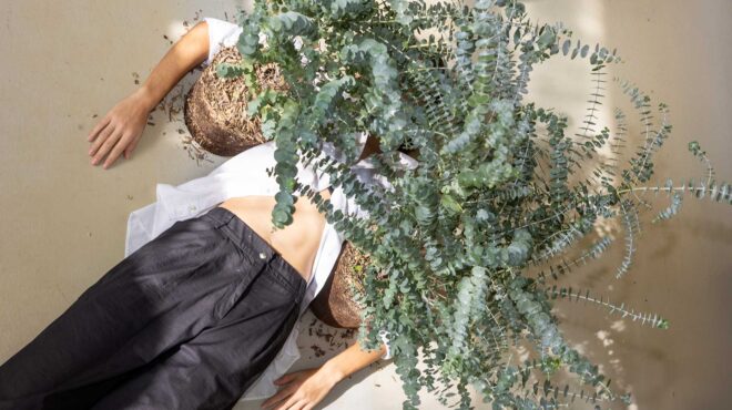 το-φυτό-που-θα-ομορφύνει-τις-ανθοδέσμε-562797220