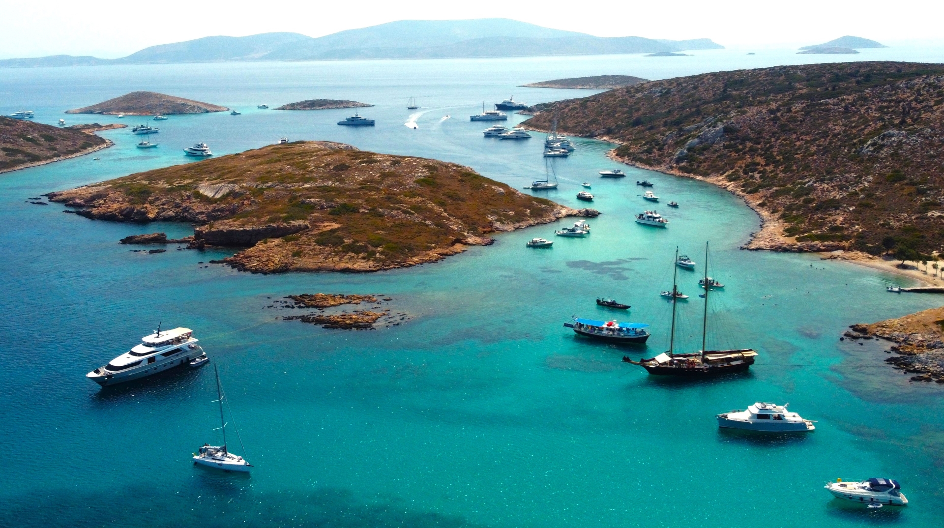 Φυτεύοντας το δάσος της θάλασσας στους Λειψούς-1