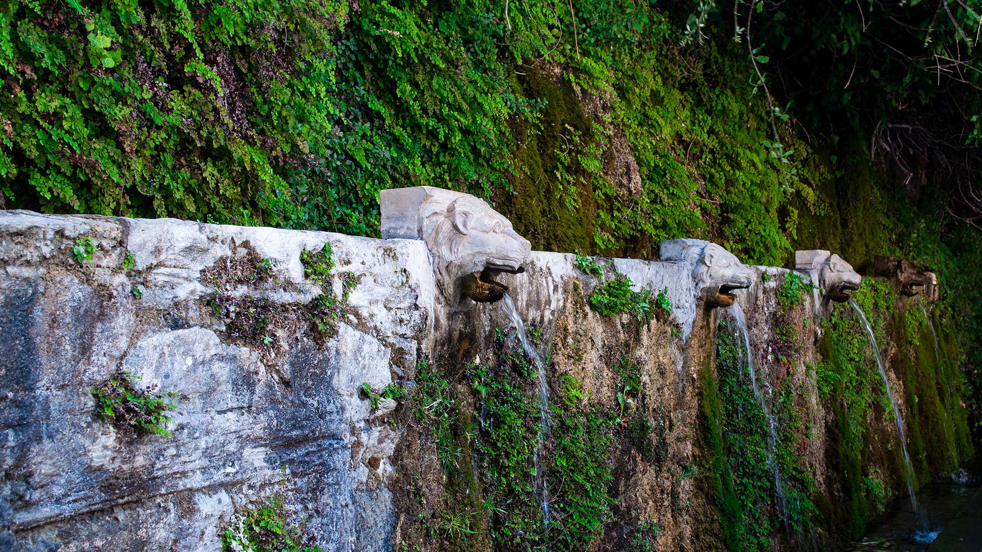 5 ξεχωριστά μονοπάτια για hiking στην Ελλάδα-4