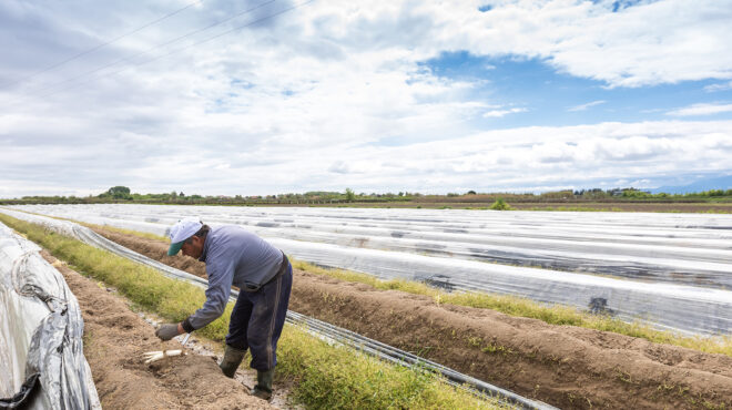 αρθρο-λώρας-παππά-στην-κ-μια-λύση-για-562769410