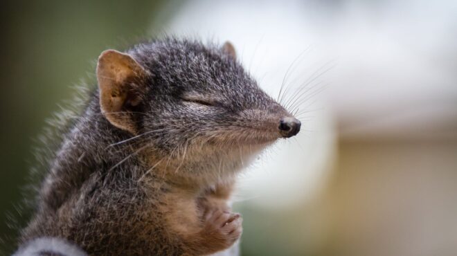 to-σεξομανές-μαρσιποφόρο-που-σταματά-562850293