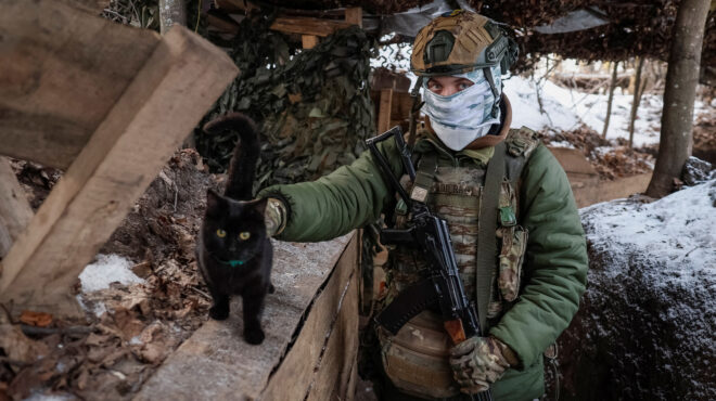 οι-γάτες-του-ουκρανικού-μετώπου-562845778