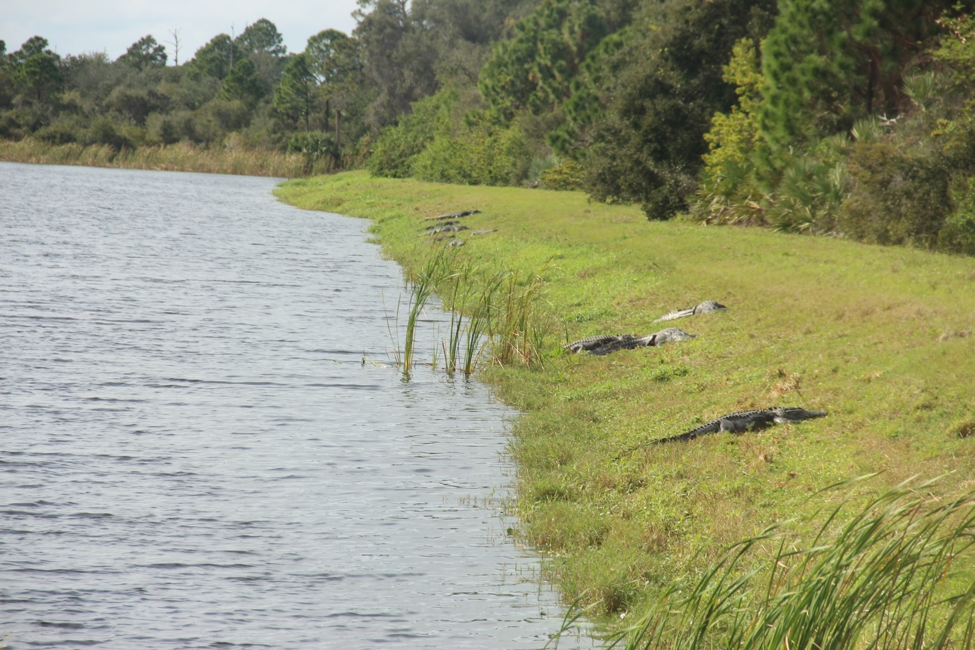 Ημερολόγιο διαστημικού καταστρώματος-20
