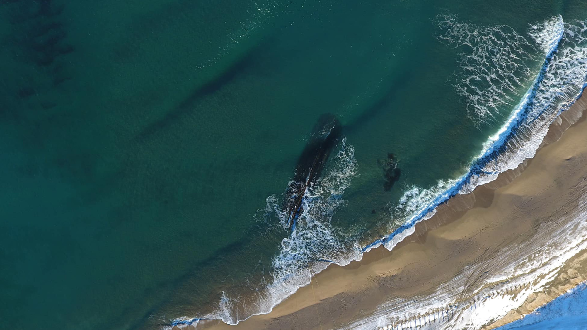 Καναδάς: Μυστηριώδες ναυάγιο εμφανίστηκε εν μια νυκτί σε παραλία-1