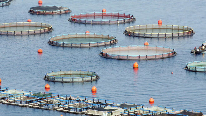 ολα-τα-ενδεχόμενα-ανοικτά-για-το-αβέβα-562833877