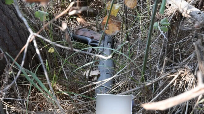 χαλκιδική-εξιχνιάστηκε-η-δολοφονία-τ-562824022