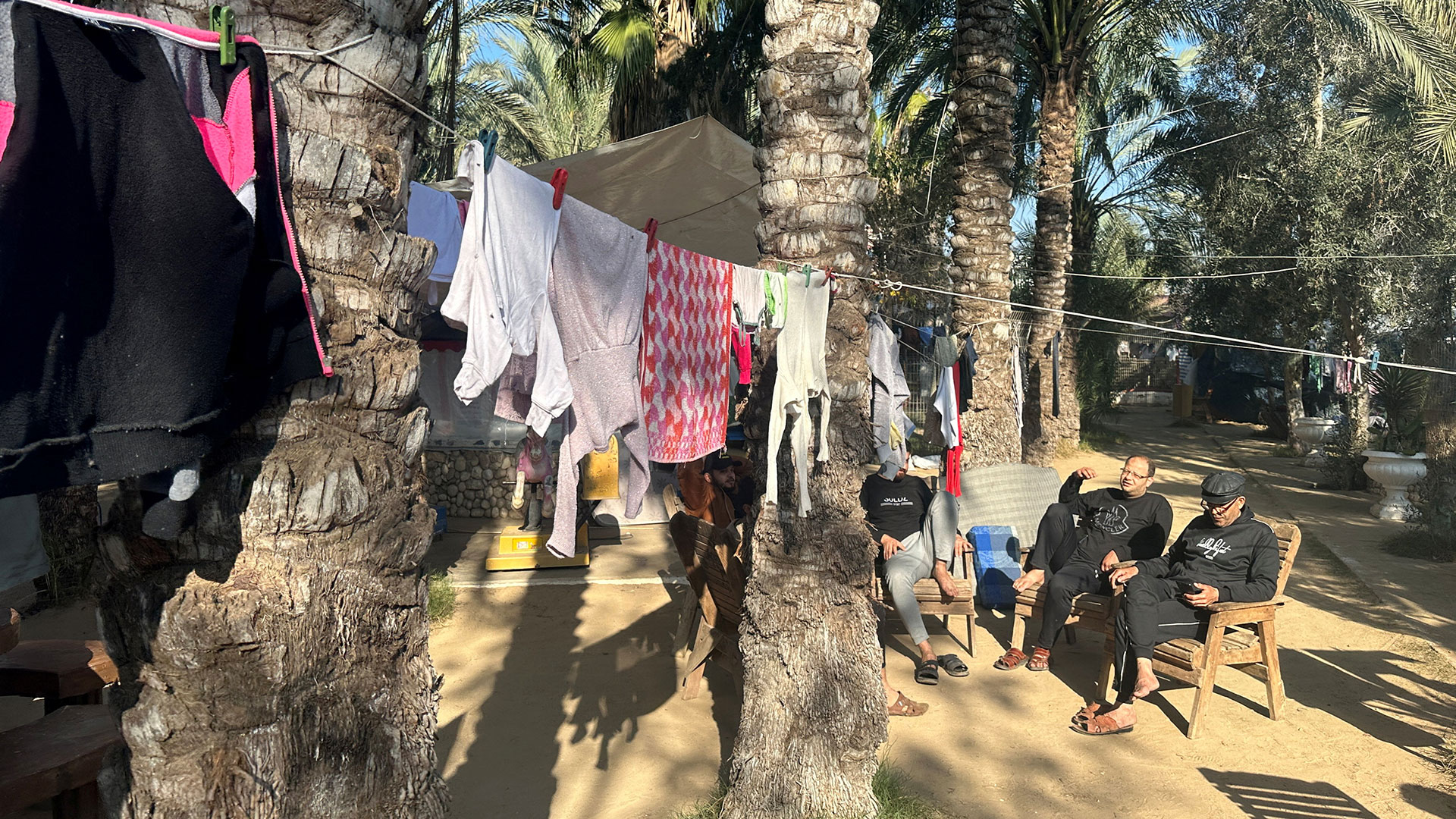 Γάζα: Εκτός από τους ανθρώπους λιμοκτονούν και τα ζώα-1