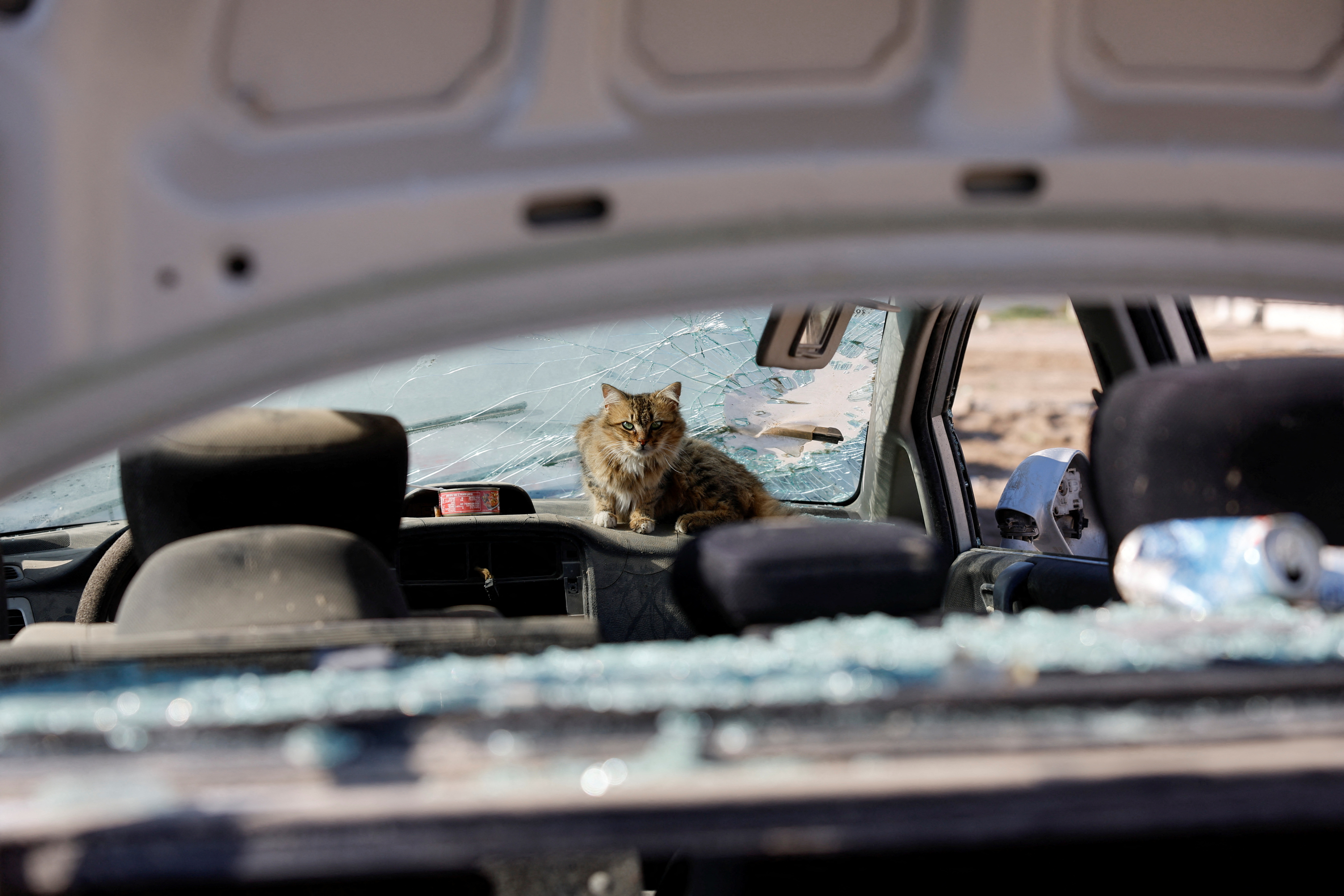 Επειτα από τρεις μήνες ολέθρου στη Γάζα, «κερδίζει» κανείς;-4