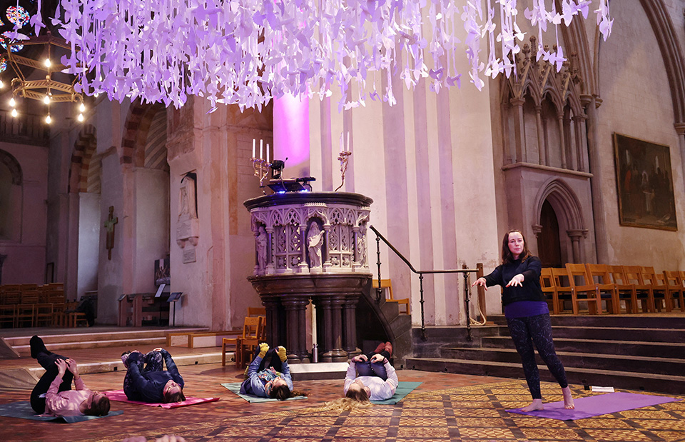 Μαζική στείρωση-2