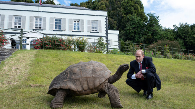 ο-γηραιότερος-562846912