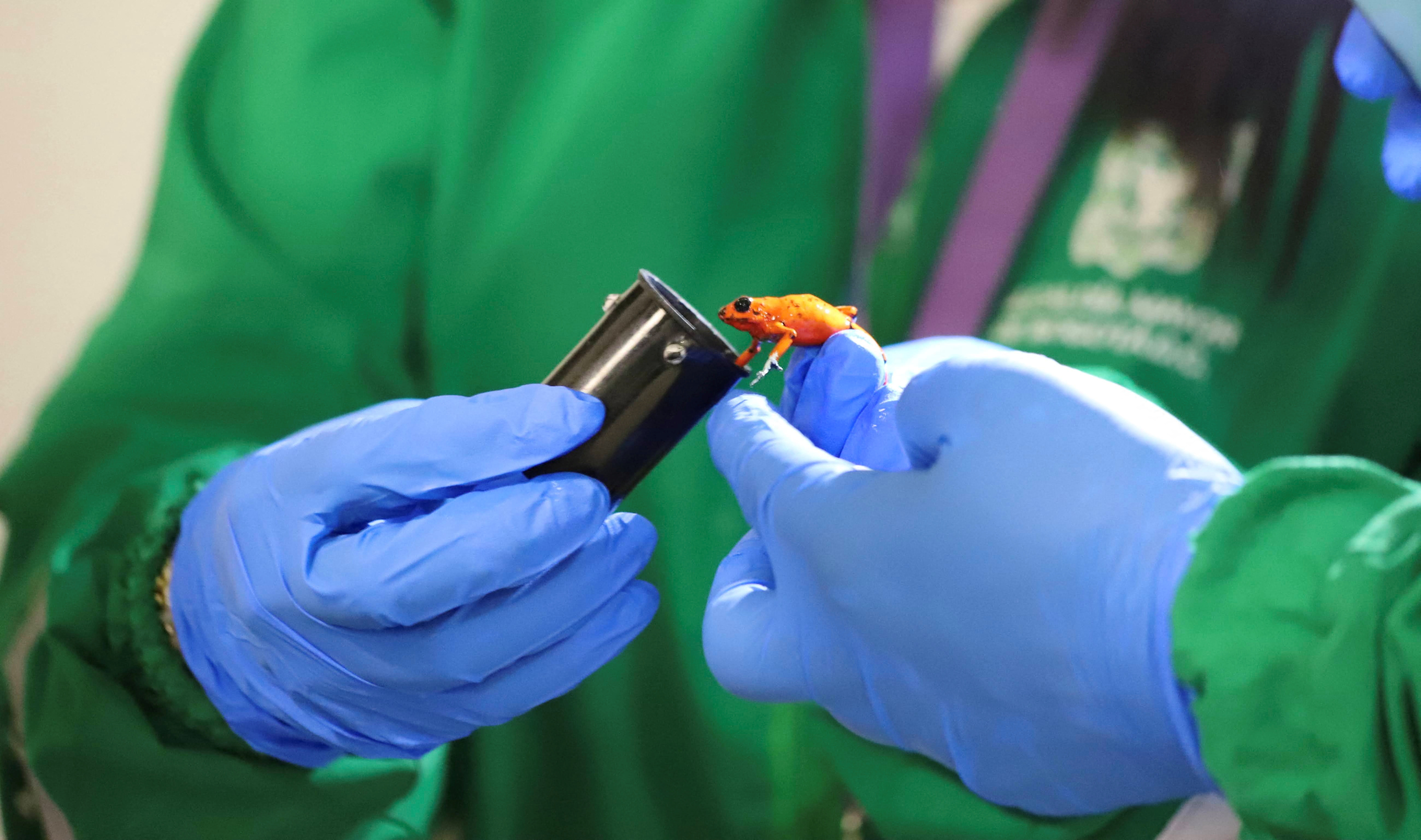 Ξεκίνησαν τα καρναβάλια-1