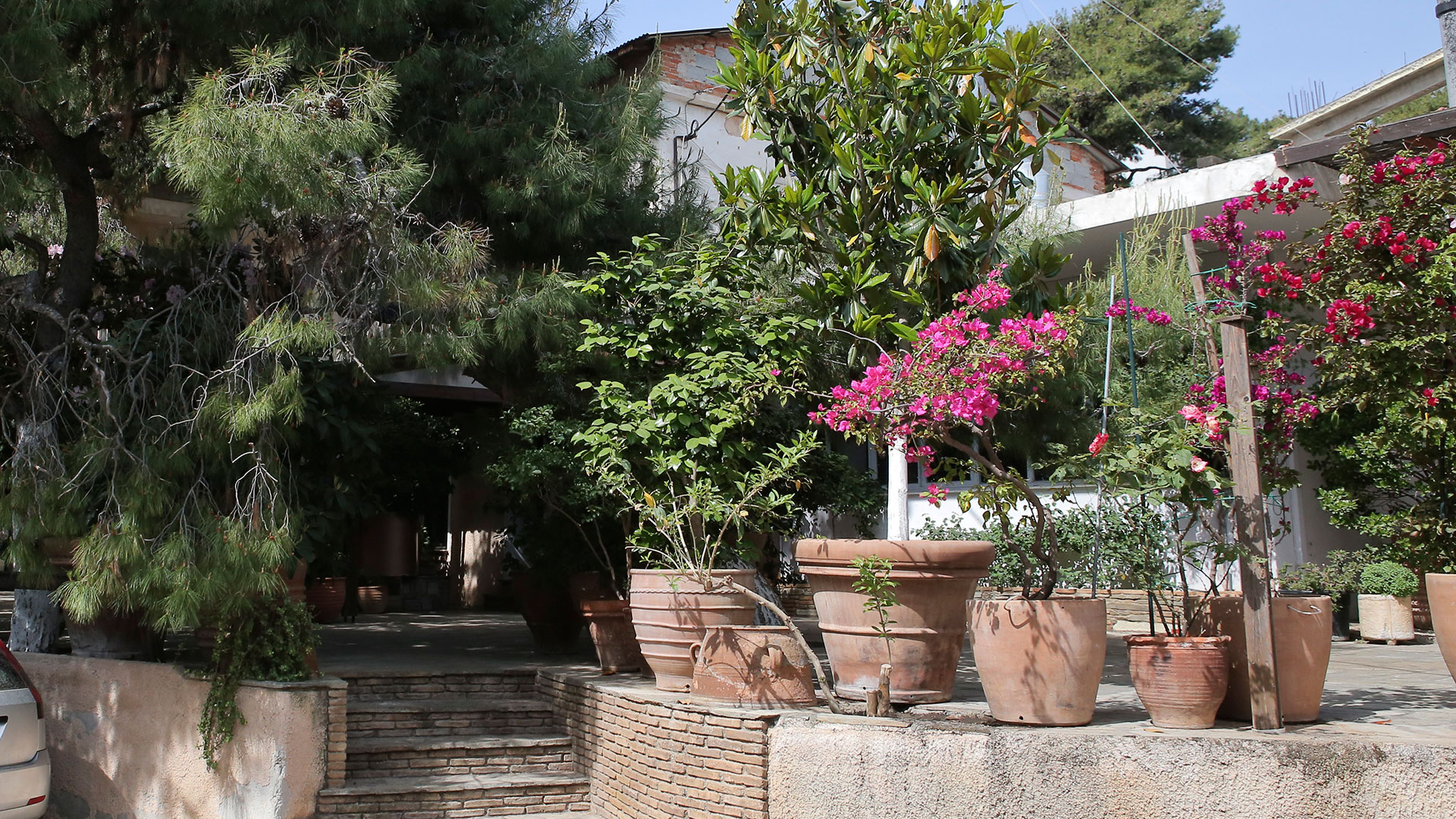 Greek Mafia: Ο φαύλος κύκλος του αίματος-3