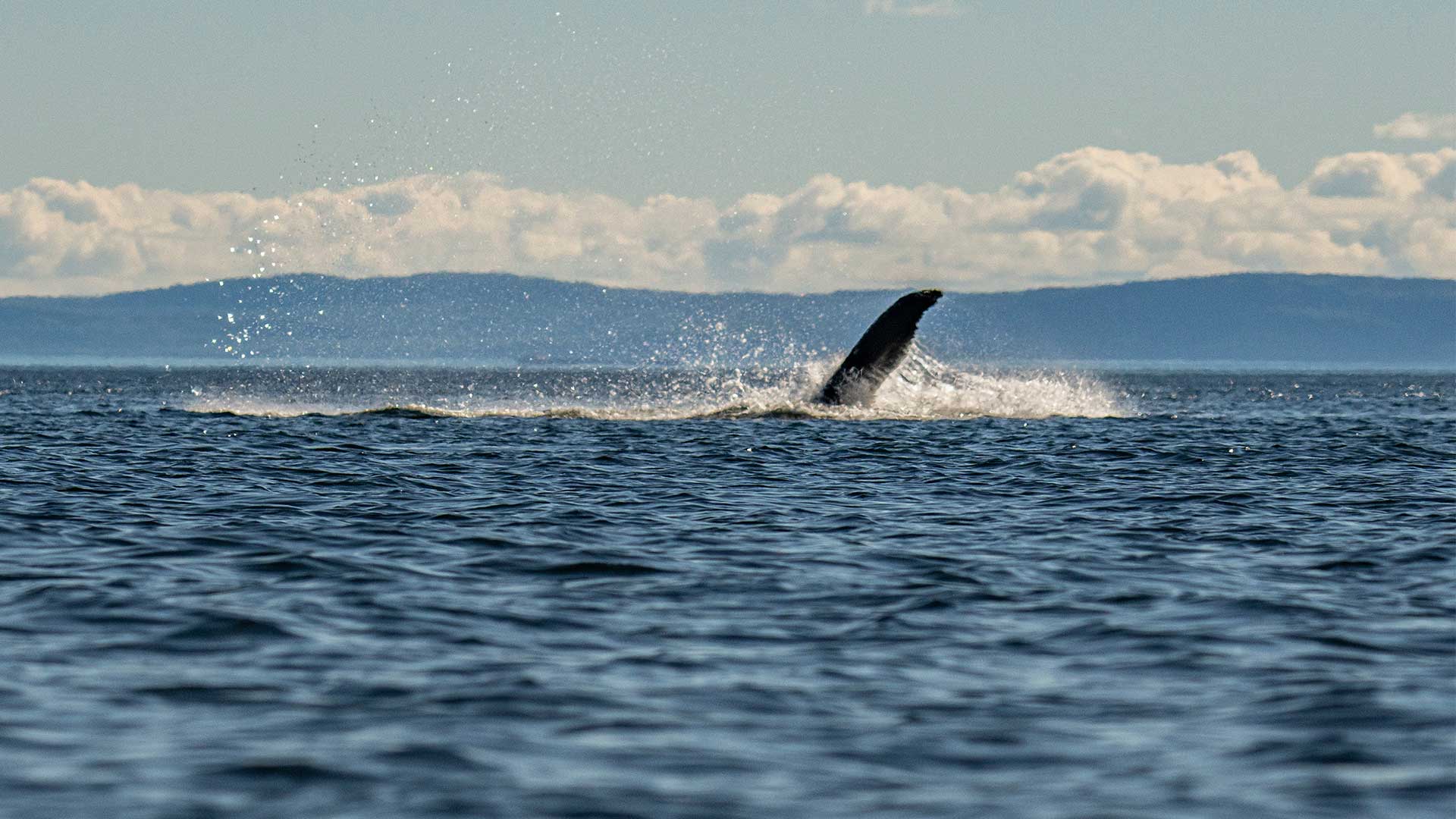 Η Θεσσαλονίκη… και οι άλλοι 51 προορισμοί των New York Times για το ’24-36