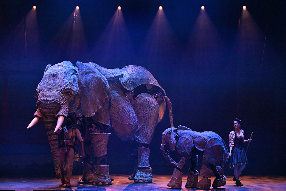 Σκαντζόχοιροι και κλιματική αλλαγή-2