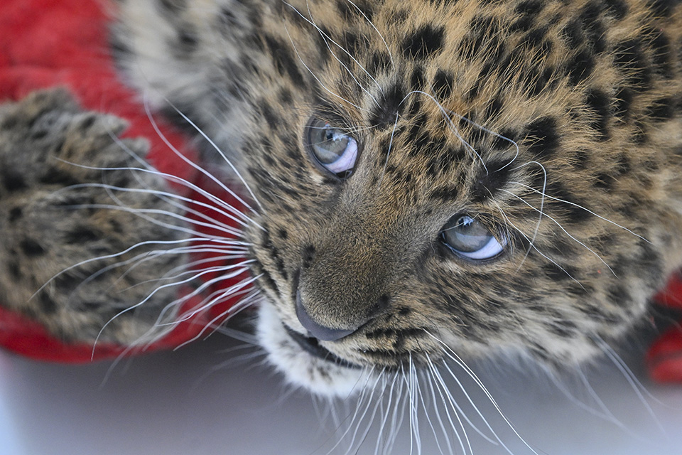 Κοντά στην πόλη-4