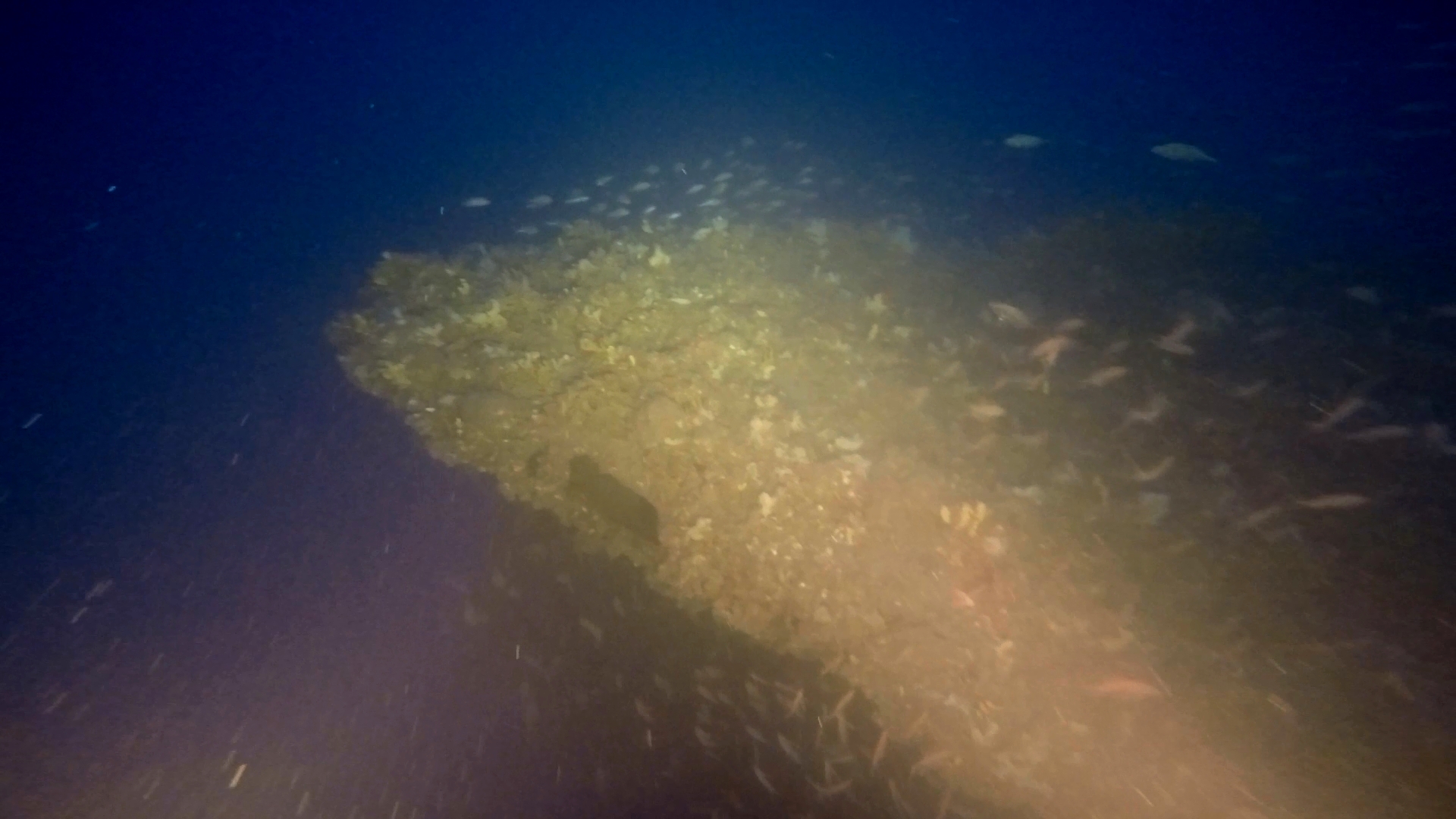 Εντοπίστηκε υποβρύχιο από τον Α’ Παγκόσμιο Πόλεμο στον Θερμαϊκό – «Ατόφιο, σαν να πάγωσε ο χρόνος το 1918»-1