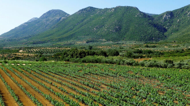 το-costa-navarino-γίνεται-προορισμός-οινοτουρισμ-562843729