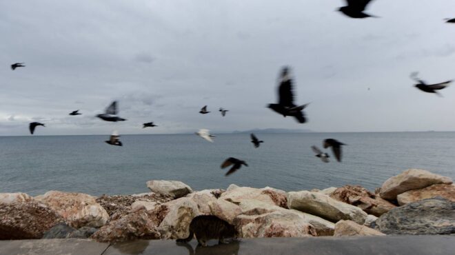καιρός-η-πρόγνωση-μέχρι-τα-θεοφάνια-562811329