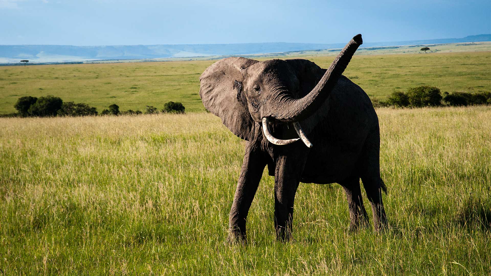 Η Θεσσαλονίκη… και οι άλλοι 51 προορισμοί των New York Times για το ’24-39