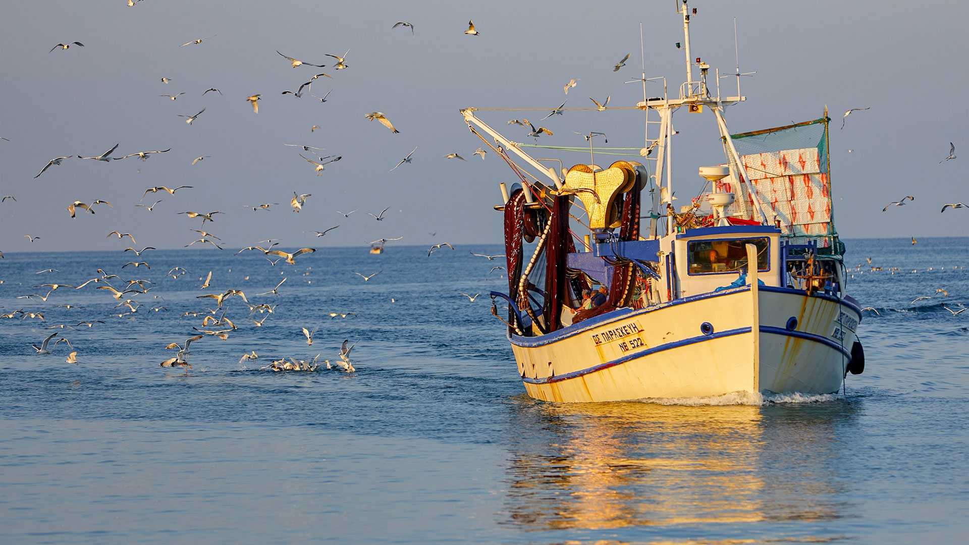 Ξαφνική αναταραχή στον αλιευτικό τουρισμό-2