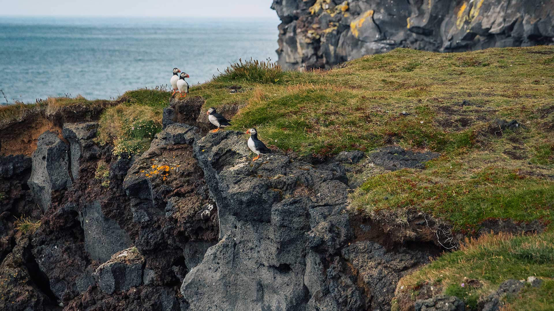 Η Θεσσαλονίκη… και οι άλλοι 51 προορισμοί των New York Times για το ’24-11