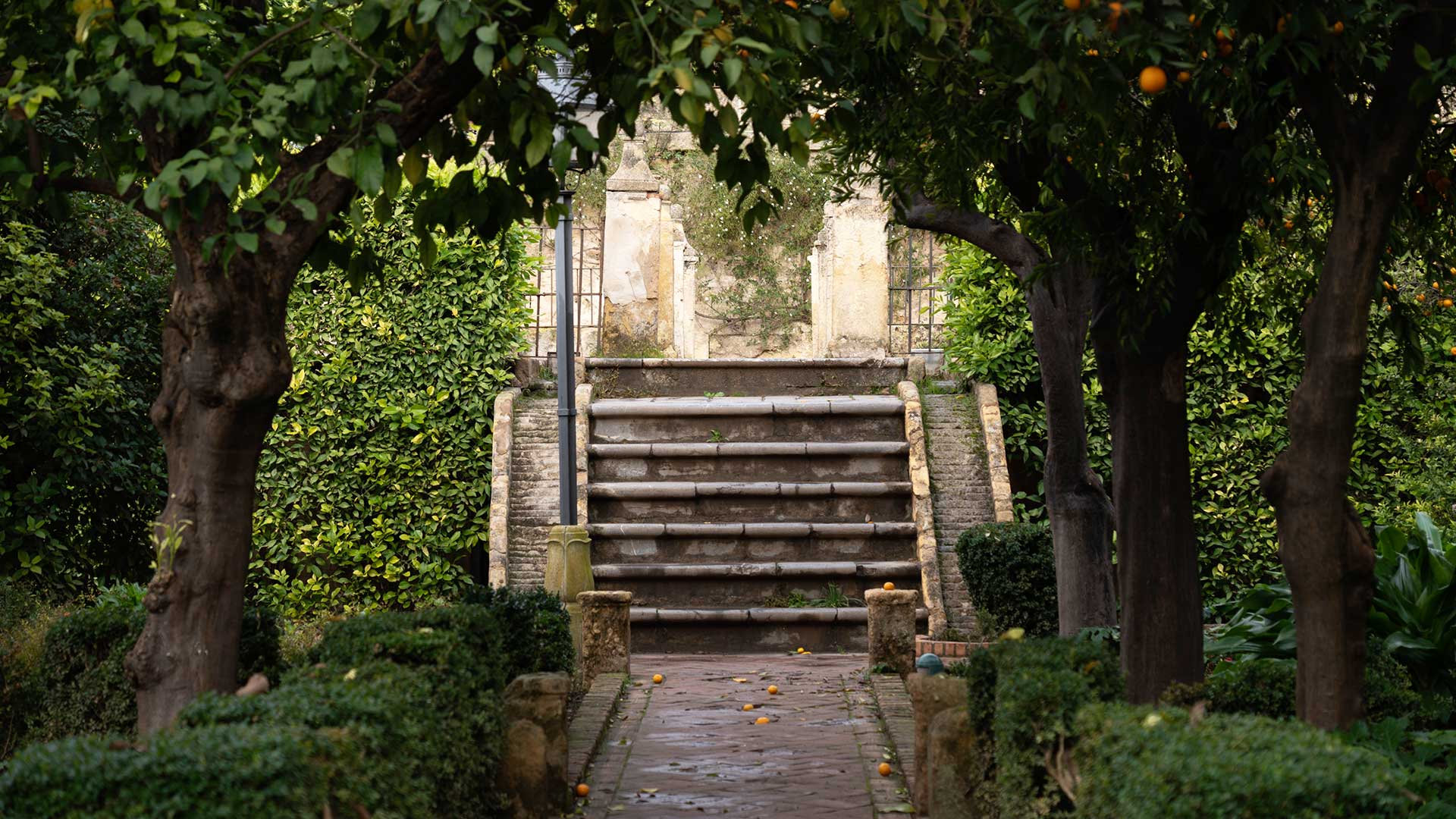 36 ώρες στην Κόρδοβα: Πού να πάτε, τι να δείτε, τι να φάτε-2