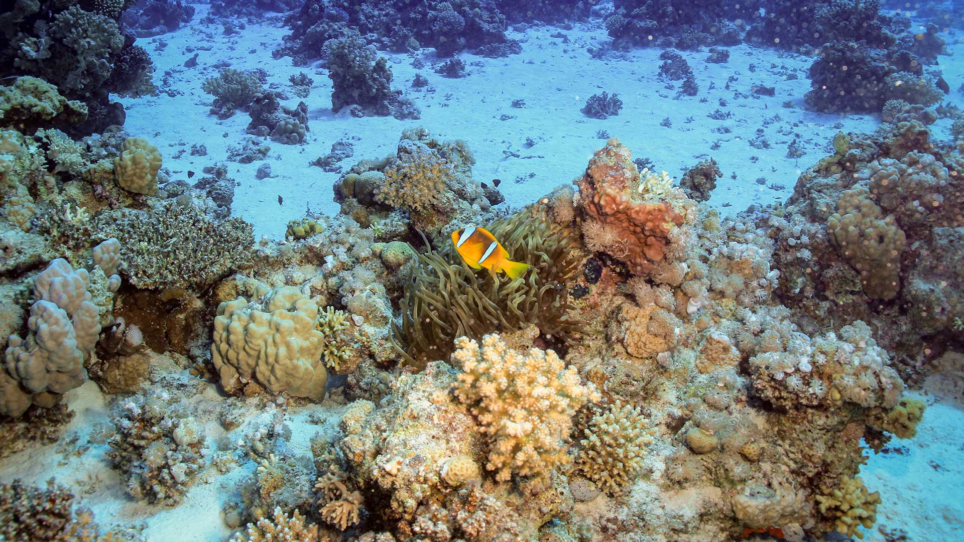 Η Θεσσαλονίκη… και οι άλλοι 51 προορισμοί των New York Times για το ’24-46