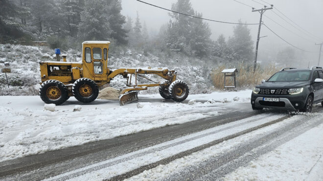 κακοκαιρία-αυγή-τι-ισχύει-για-σχολε-562855042