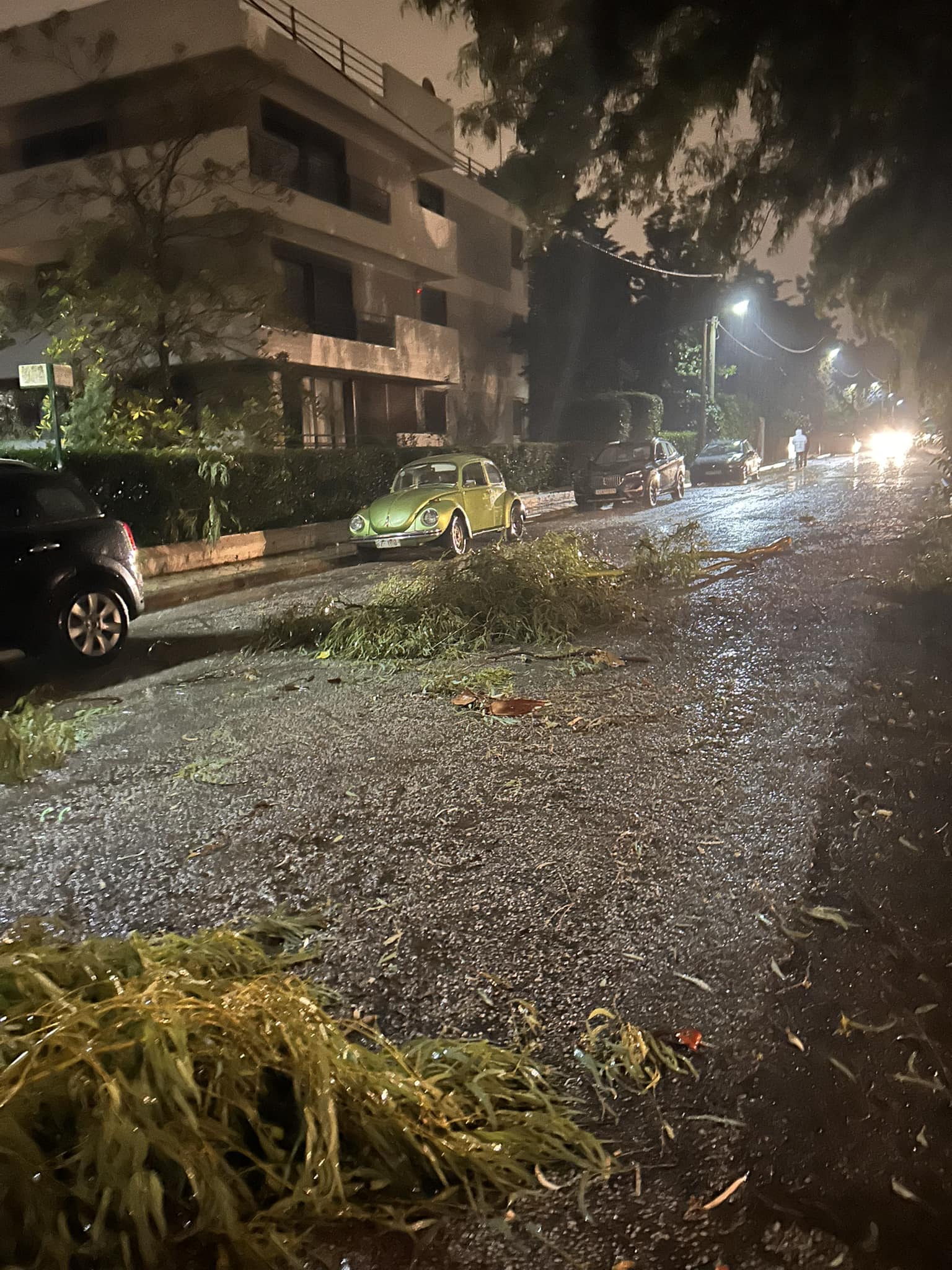Κακοκαιρία: Πτώσεις δέντρων σε Φιλοθέη και Ψυχικό – Διακοπές ρεύματος-1