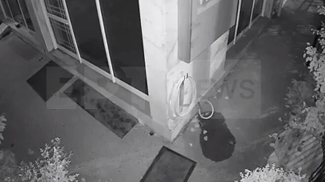 δολοφονία-41χρονης-εγκύου-νέο-βίντεο-με-562824532