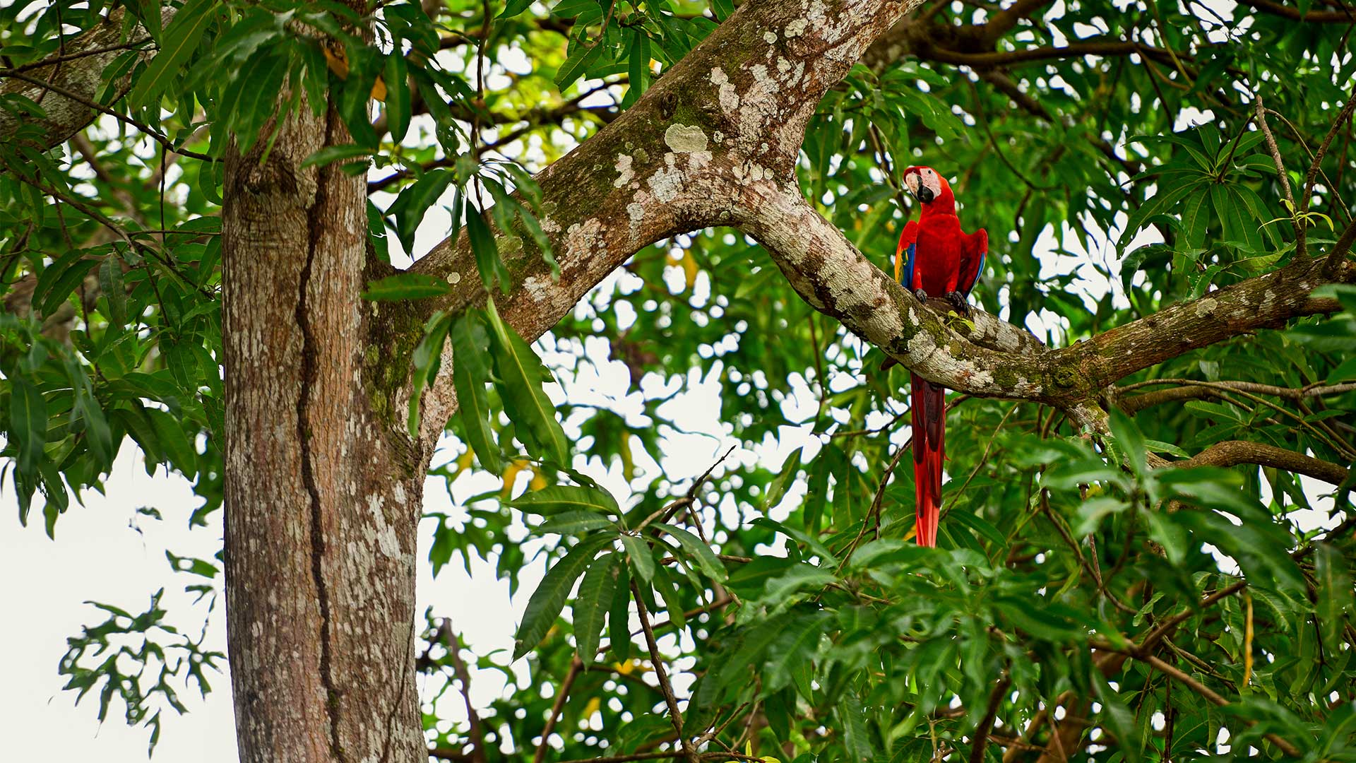 Η Θεσσαλονίκη… και οι άλλοι 51 προορισμοί των New York Times για το ’24-49
