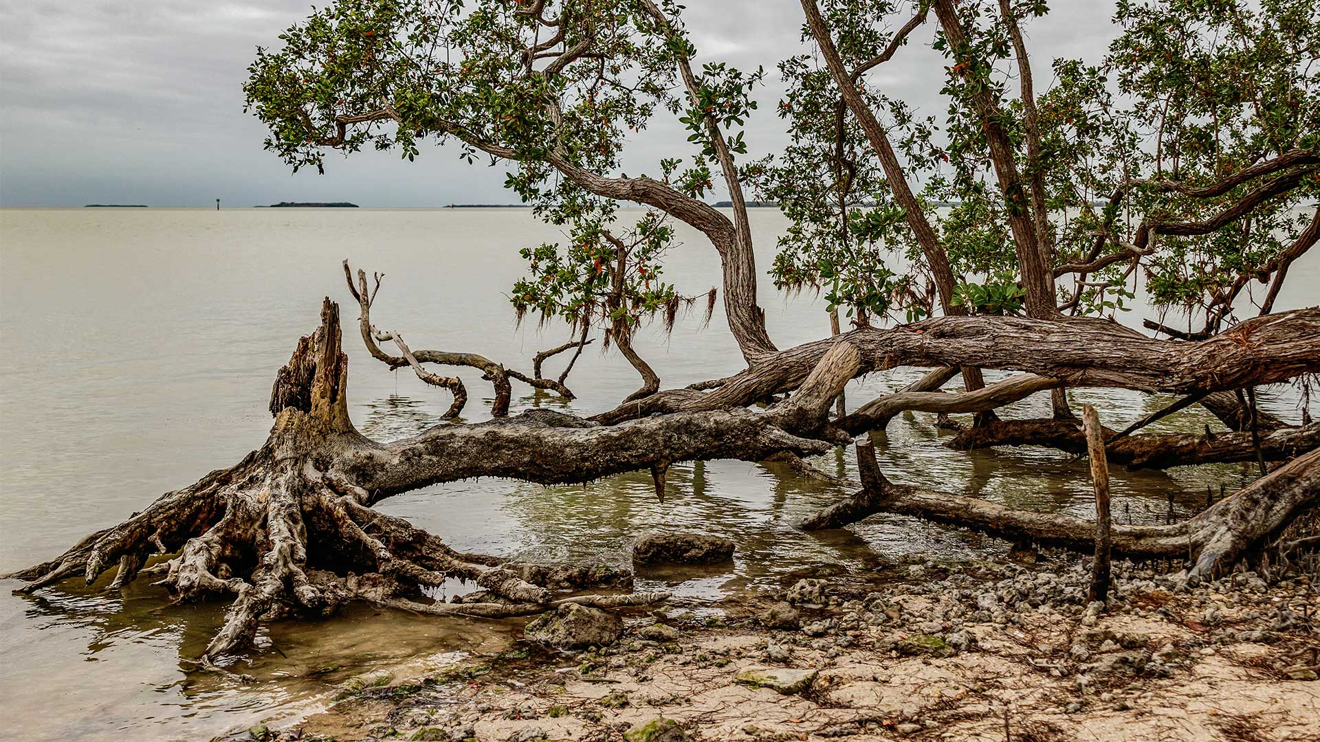 Η Θεσσαλονίκη… και οι άλλοι 51 προορισμοί των New York Times για το ’24-52